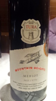 2011 Tura Merlot